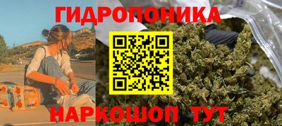прущие крисы Нальчик