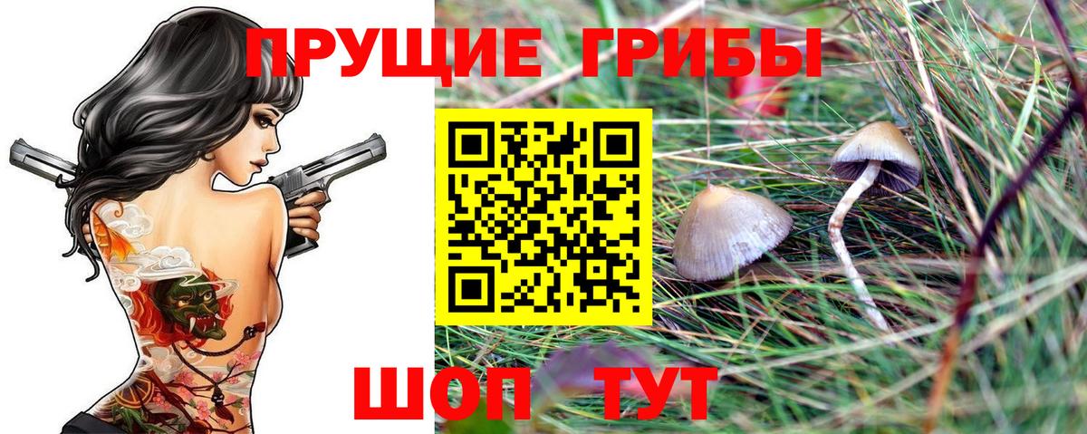 продажа наркотиков  Галлюциногенные грибы Magic Shrooms  Псилоцибиновые грибы прущие грибы  Вход с VPN  Стрежевой 