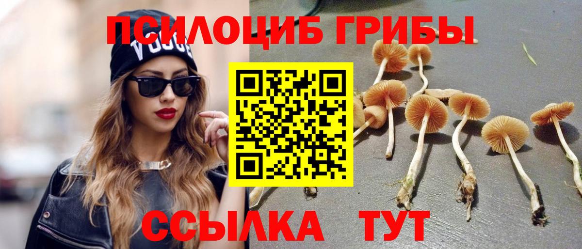 Галлюциногенные грибы мицелий Стрежевой